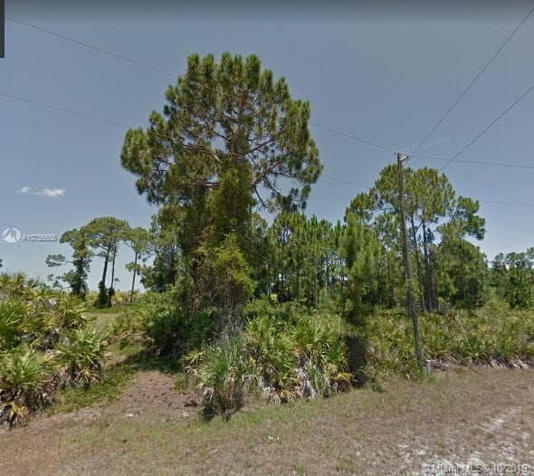 12181 Green Gulf Blvd, Punta Gorda, FL 33955 photo 3