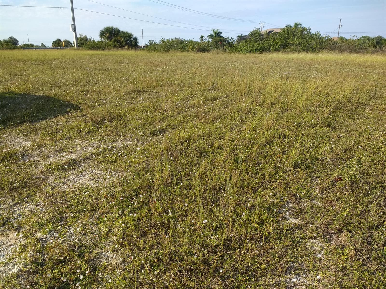 725 NW 8th Terrace, Cape Coral, FL 33993 photo 3