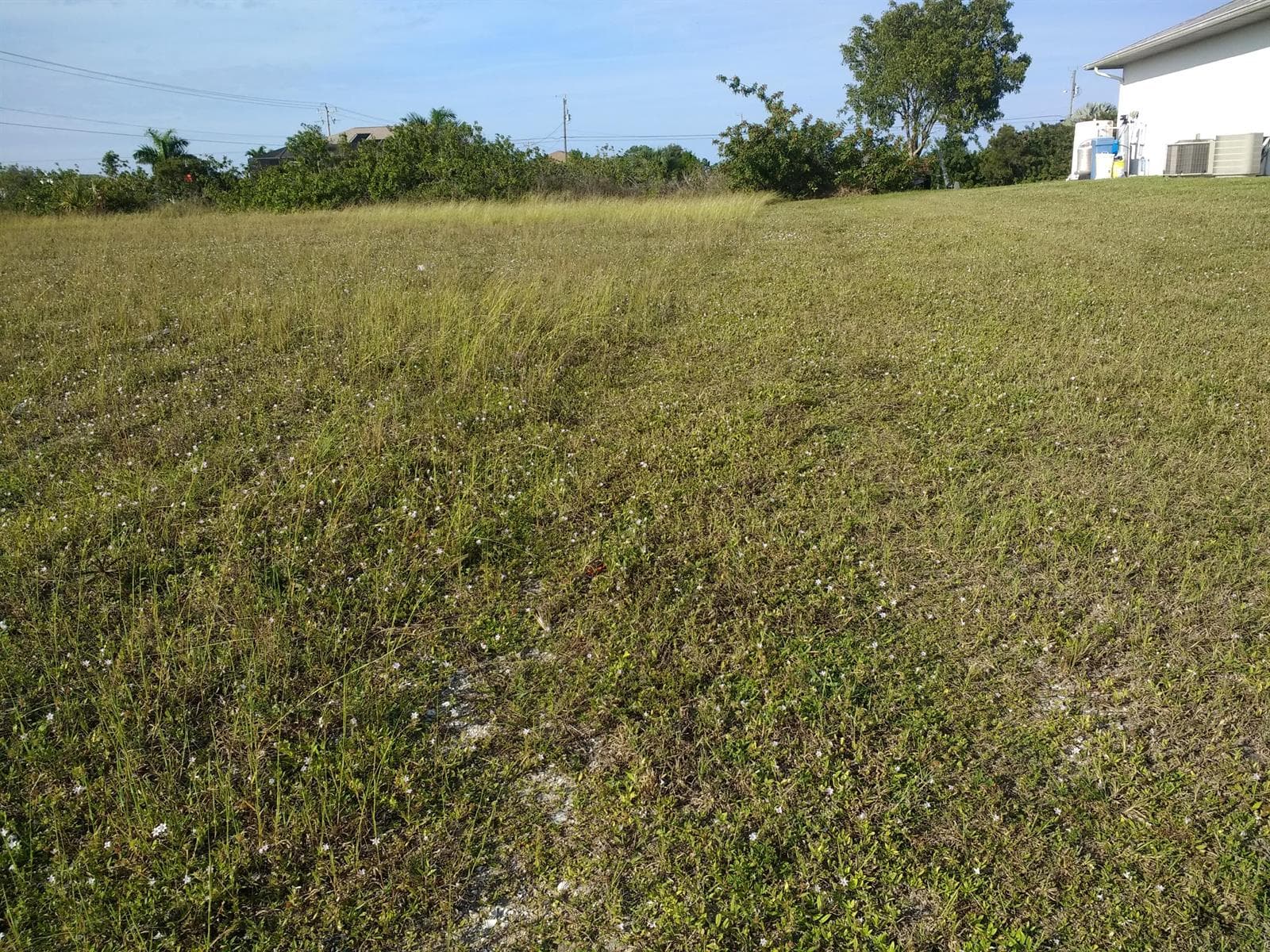 725 NW 8th Terrace, Cape Coral, FL 33993 photo 4