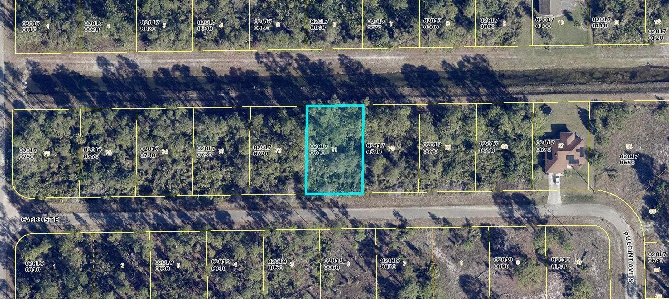 1113 Capri Street E, Lehigh Acres, FL 33974 photo 2
