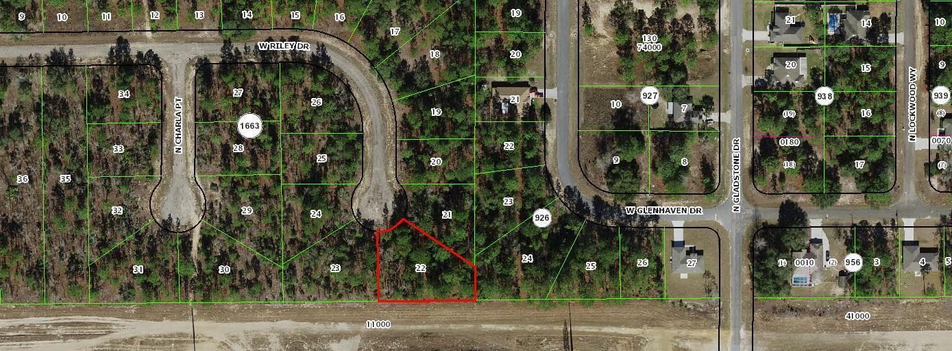 1005 W Riley Drive, FL 34434