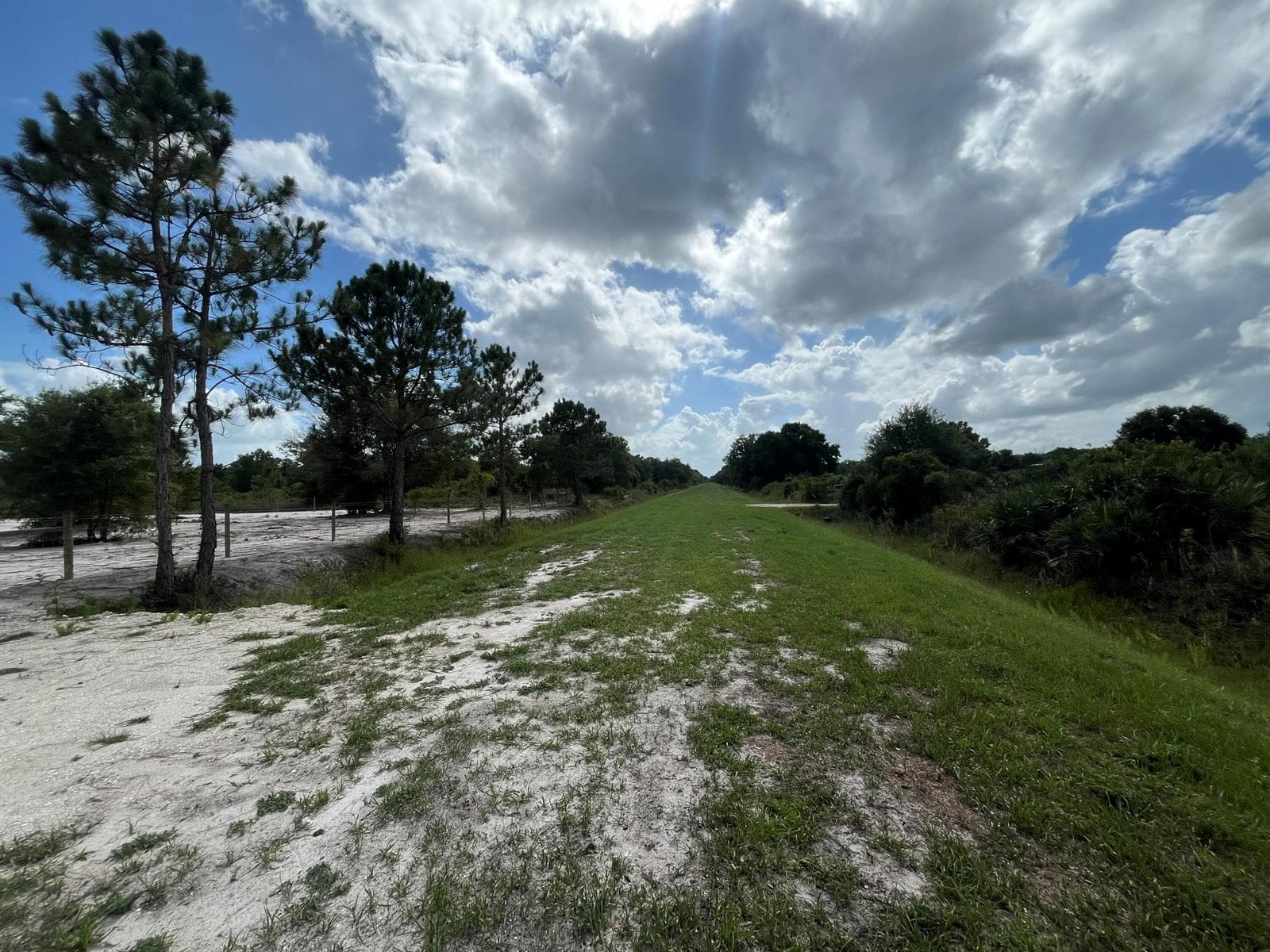 16916 NW 262nd Street, Okeechobee, FL 34972 photo 3