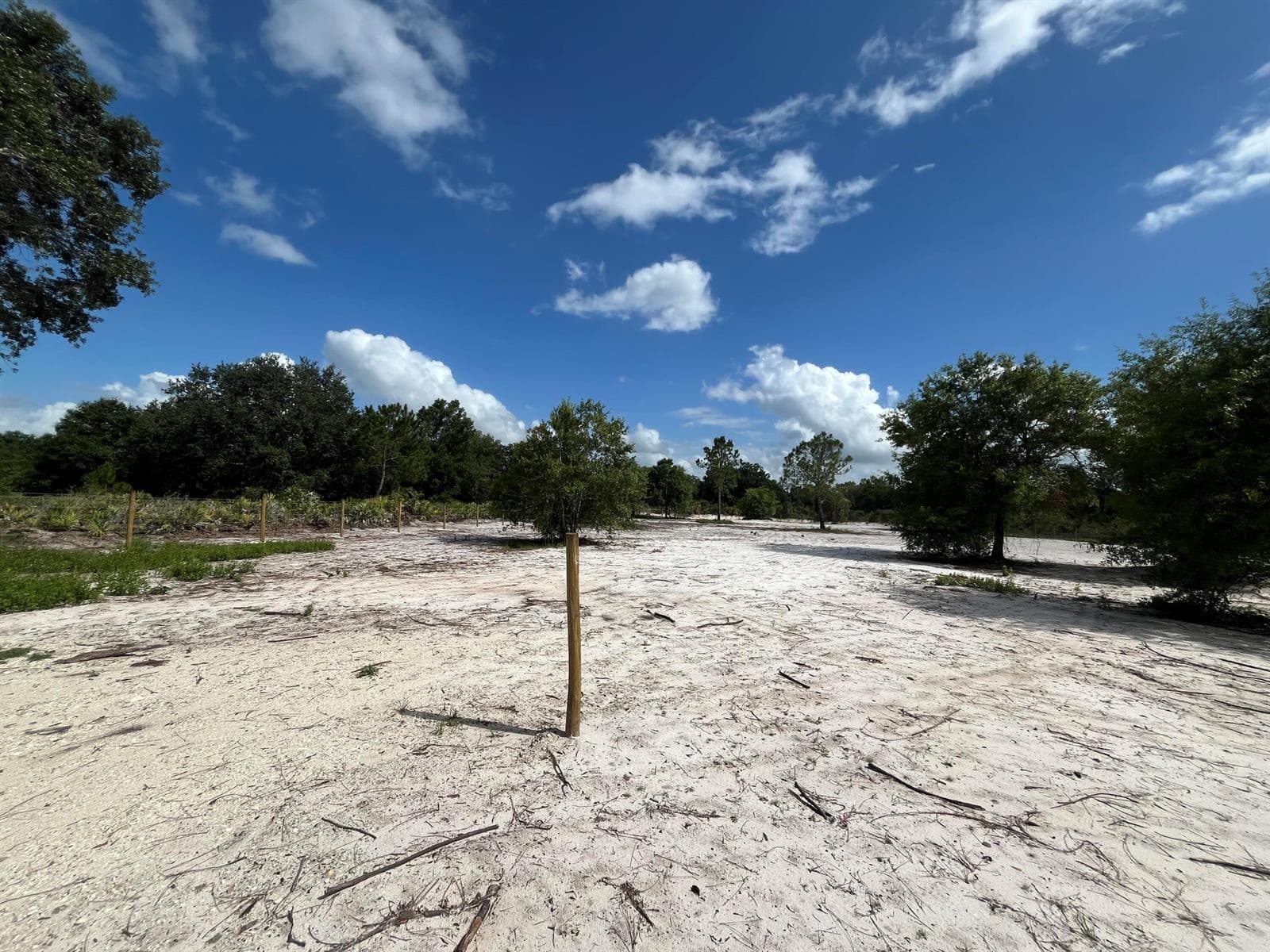 16916 NW 262nd Street, Okeechobee, FL 34972 photo 5