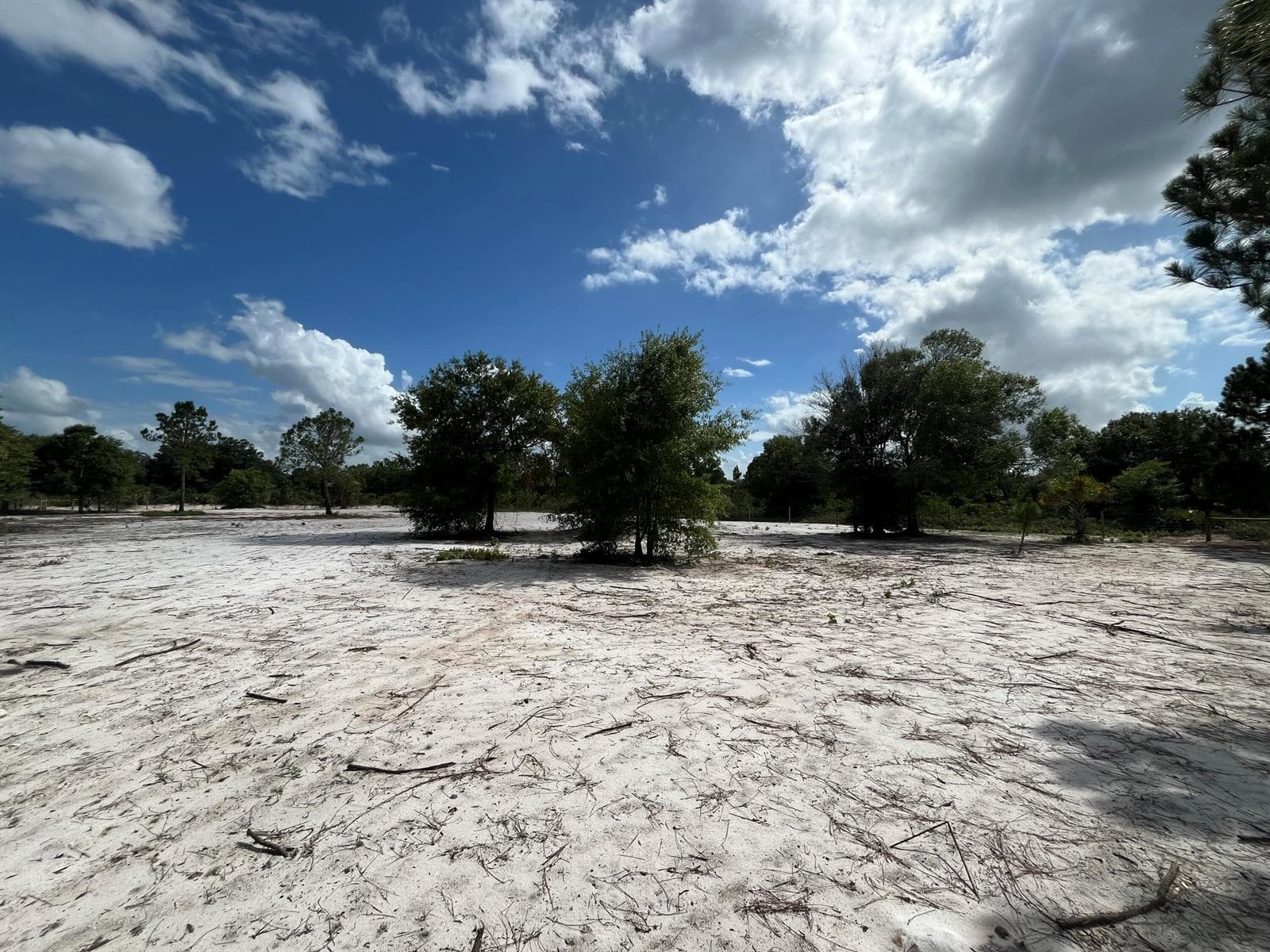 16916 NW 262nd Street, Okeechobee, FL 34972 photo 4