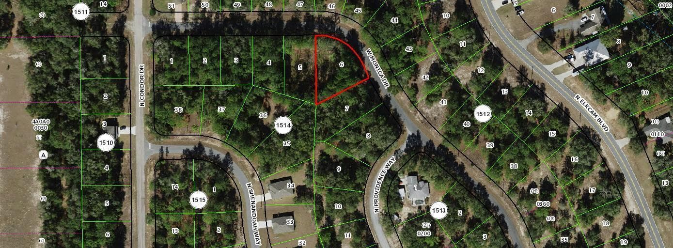 11894 N Monica Drive, FL 34433