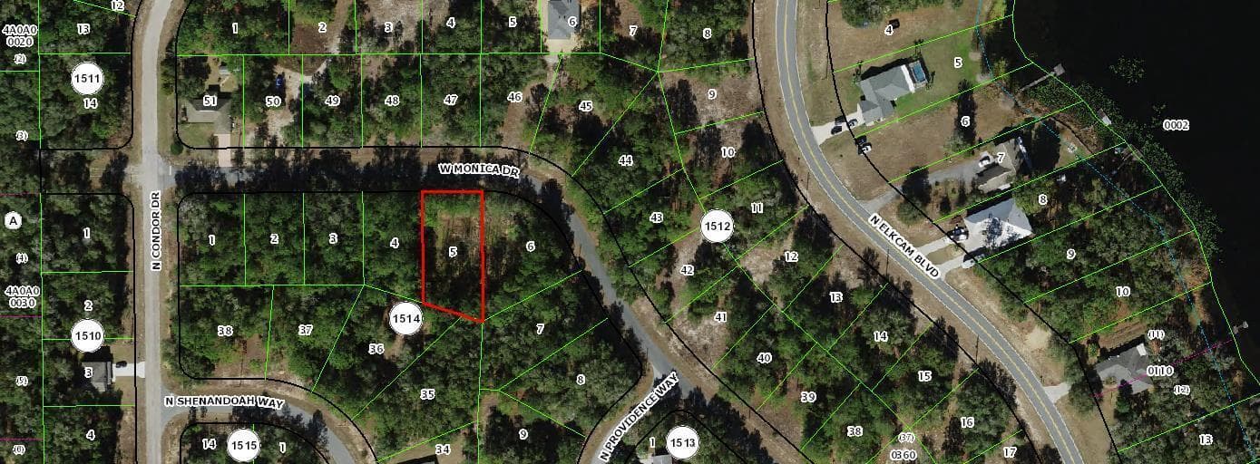 11902 N Monica Drive, FL 34433