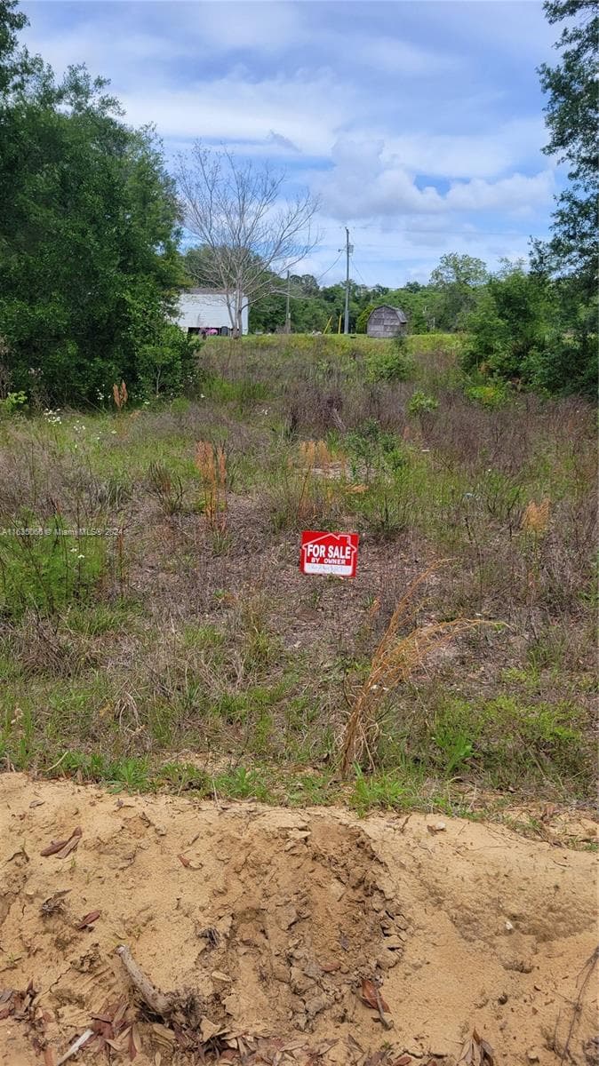 0 Lenore Ave, Palatka, FL 32148 photo 2