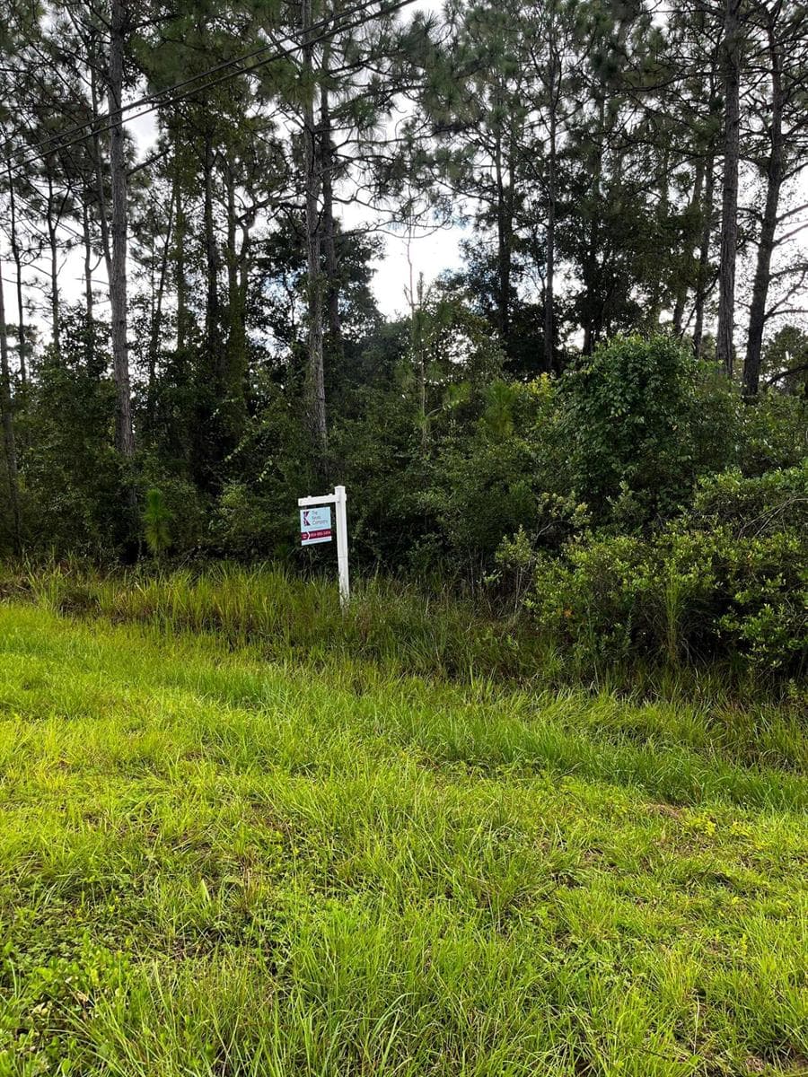 0 Sabal Street, Orlando, FL 32833