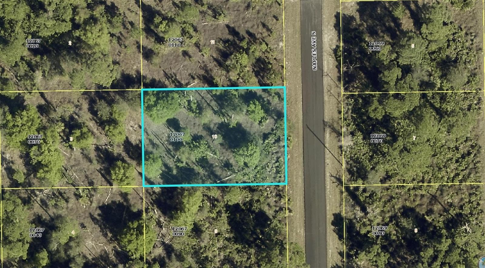 1012 Naples Avenue, Lehigh Acres, FL 33974 photo 2