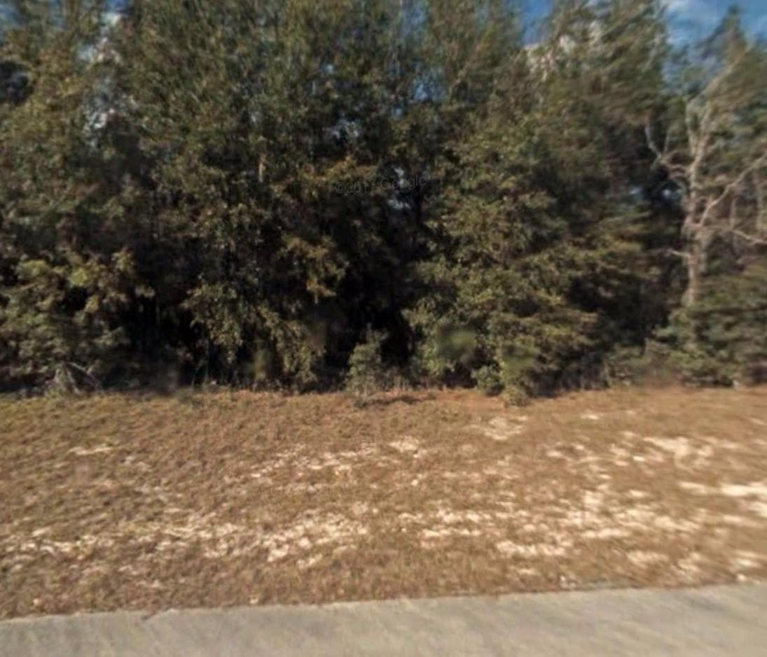 Lot 5 138 Lane, Ocala, FL 34473 photo 2