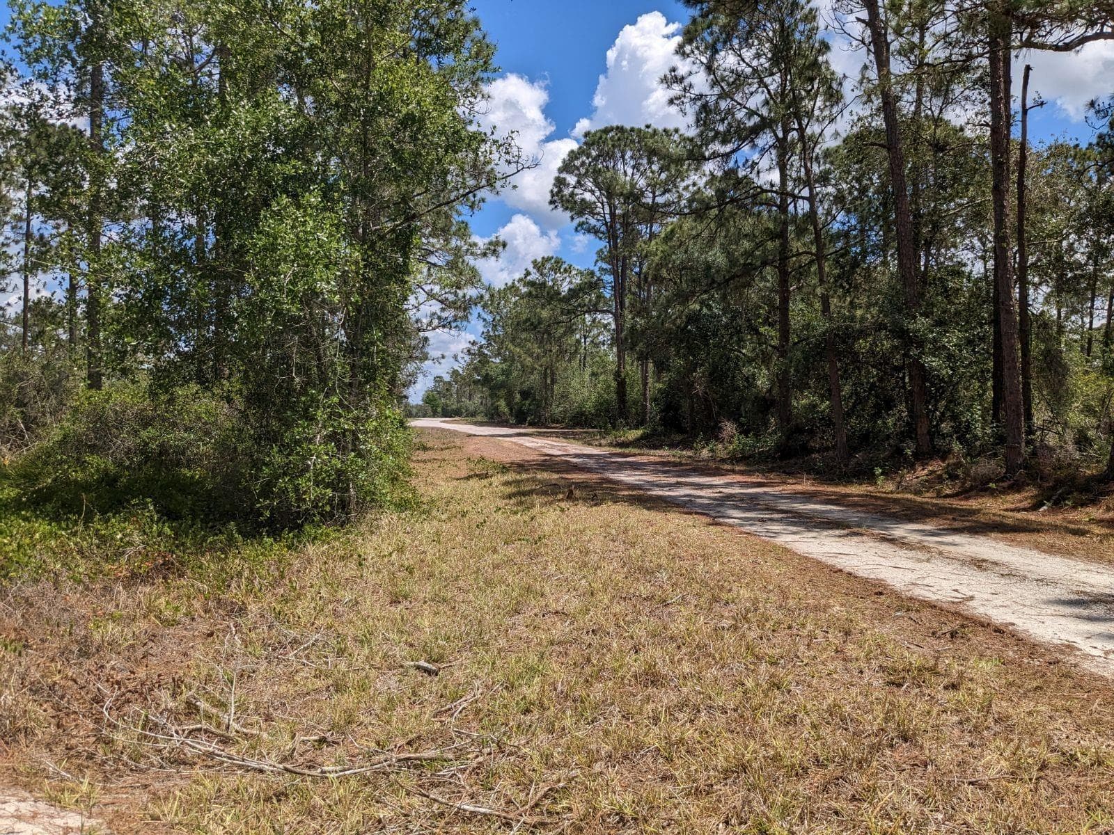 430 Apple Blossom Avenue, Lake Placid, FL 33852 photo 2