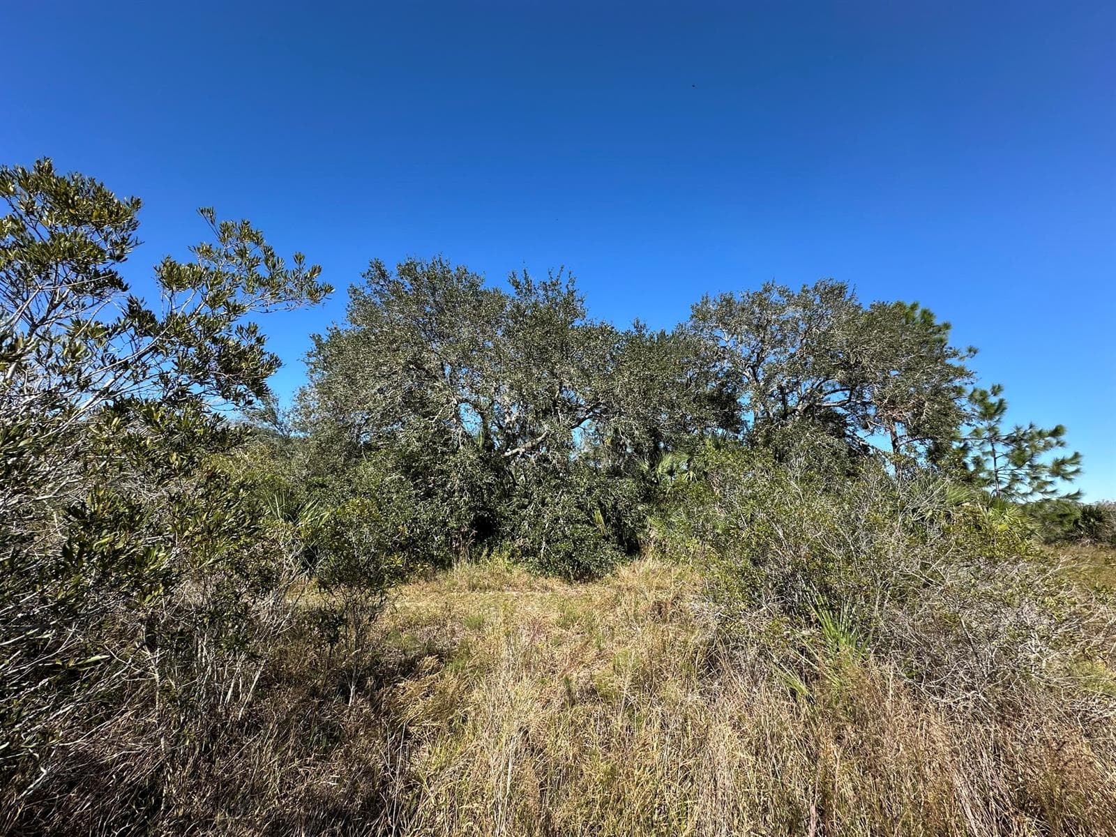 15415 NW 292nd Street, Okeechobee, FL 34972 photo 2