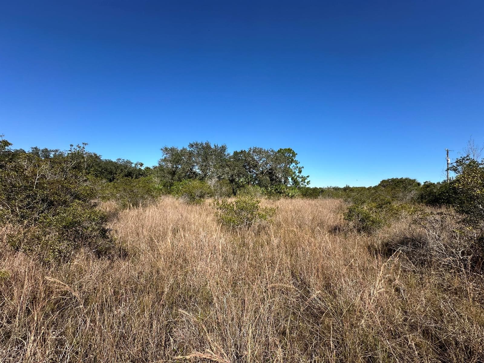 15415 NW 292nd Street, Okeechobee, FL 34972 photo 4