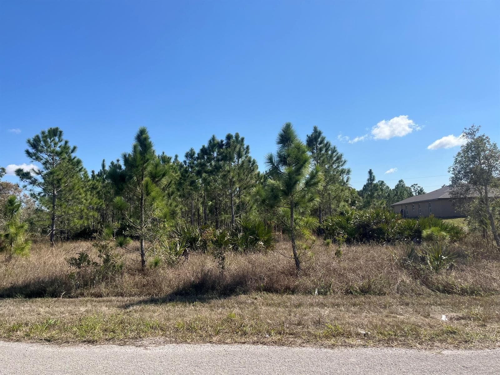 1247 Brunell Avenue, Fort Myers, FL 33913