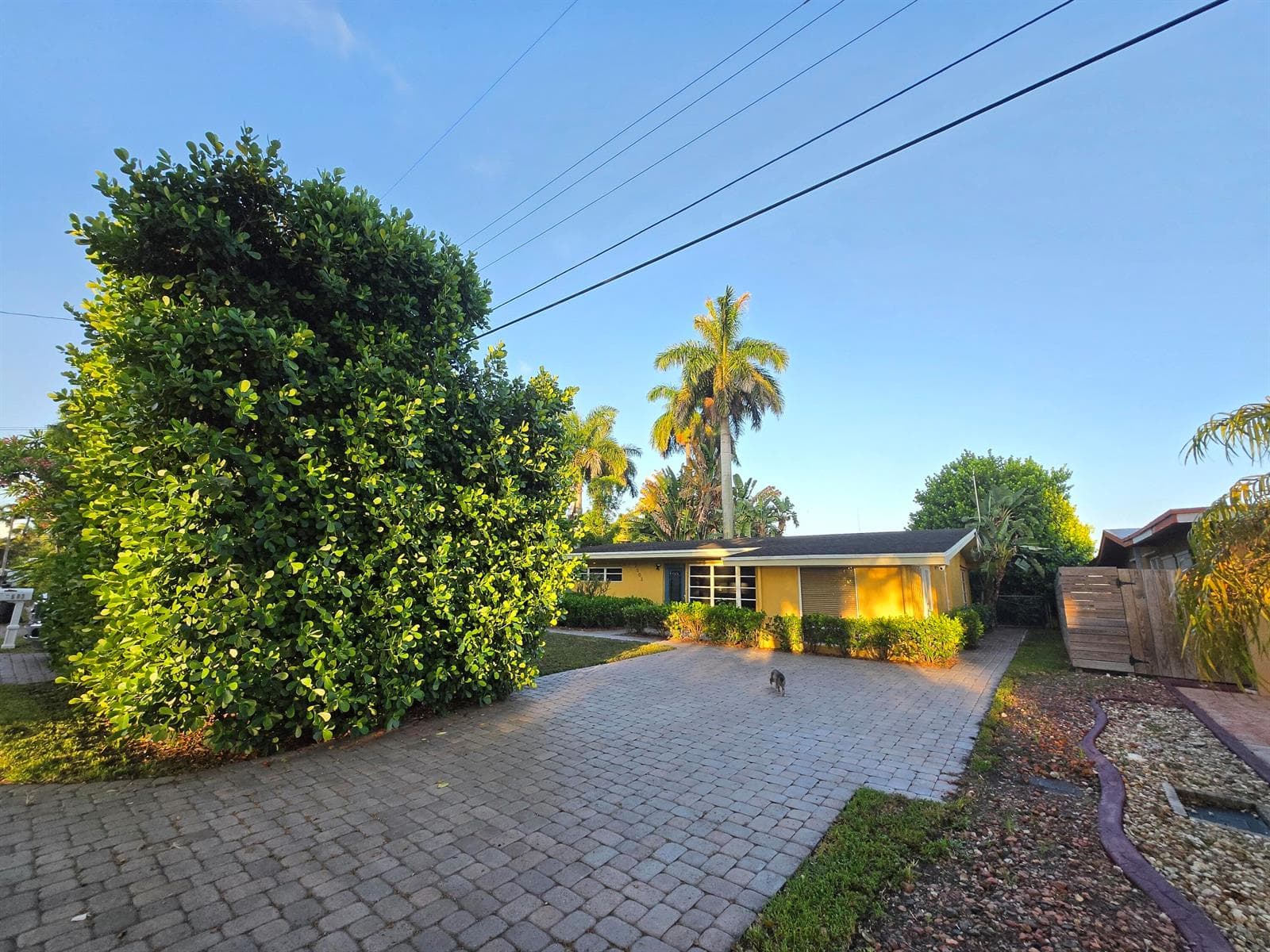 2503 Andros Lane, Fort Lauderdale, FL 33312 photo 3