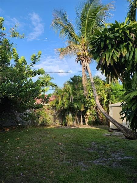 1123 N 17th Avenue, Hollywood, FL 33020 photo 4