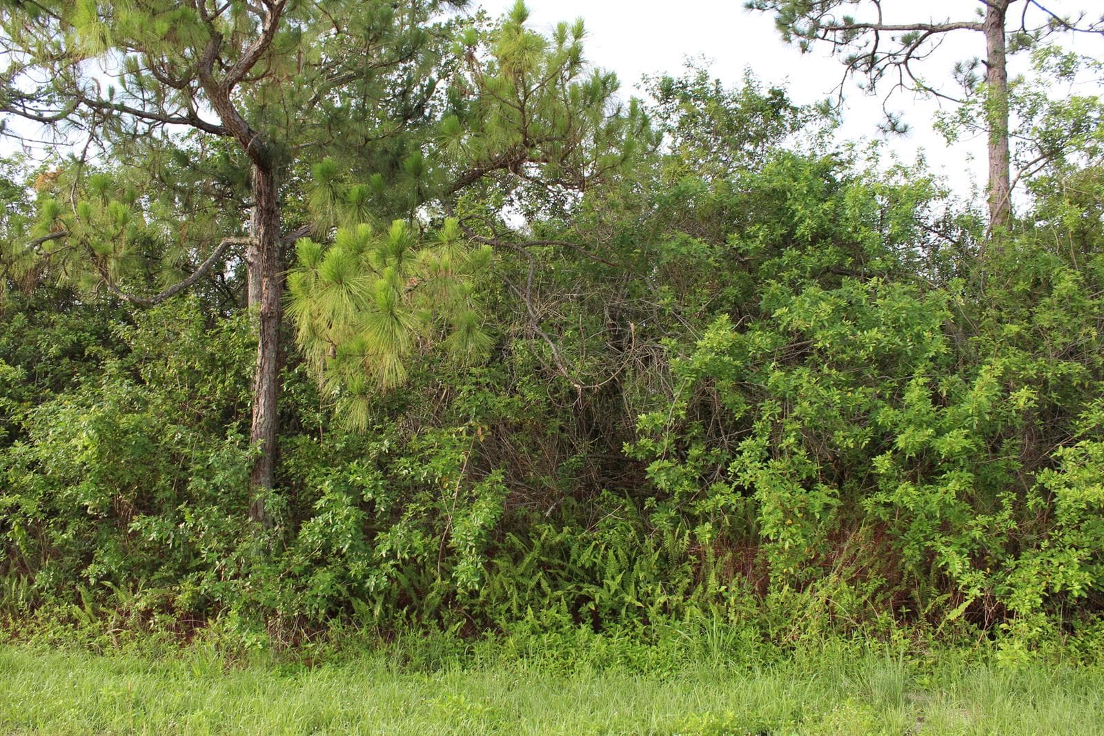 ''17992'' 94th Street N, Loxahatchee, FL 33470