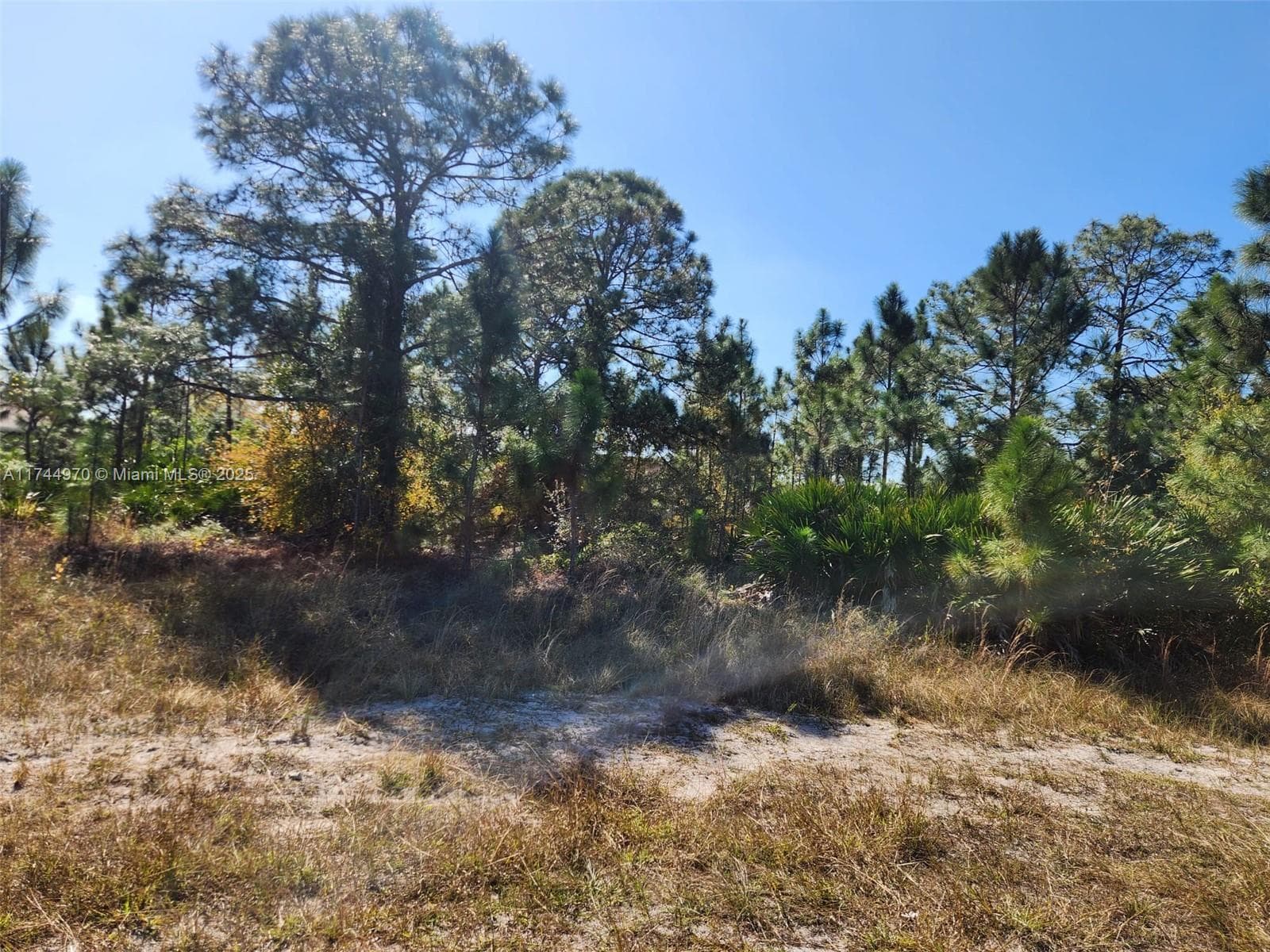 2719 50 W, Lehigh Acres, FL 33971
