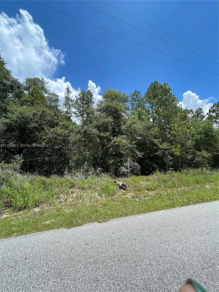 tbd SW 59th LN, Other City - In The State Of Florida, FL 34431 photo 2