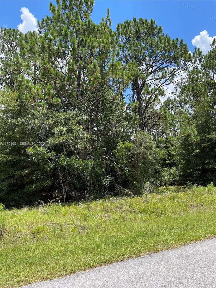 tbd SW 59th LN, Other City - In The State Of Florida, FL 34431 photo 3