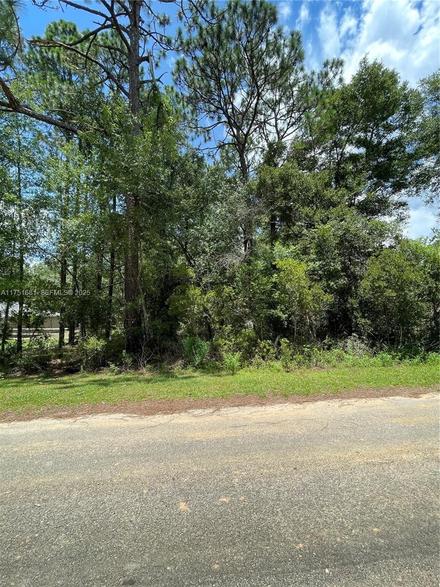 tbd SW 59th LN, Other City - In The State Of Florida, FL 34431 photo 5