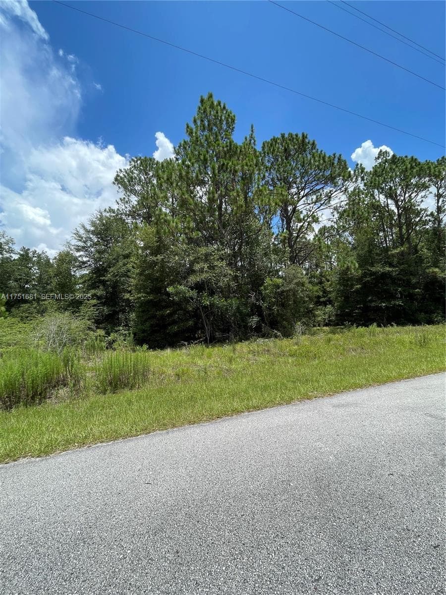 tbd SW 59th LN, Other City - In The State Of Florida, FL 34431 photo 4