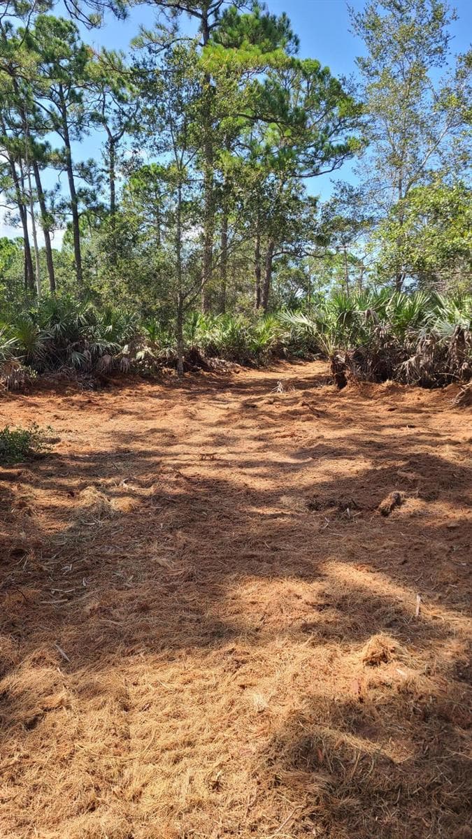 5375 69th Street, Vero Beach, FL 32967 photo 3