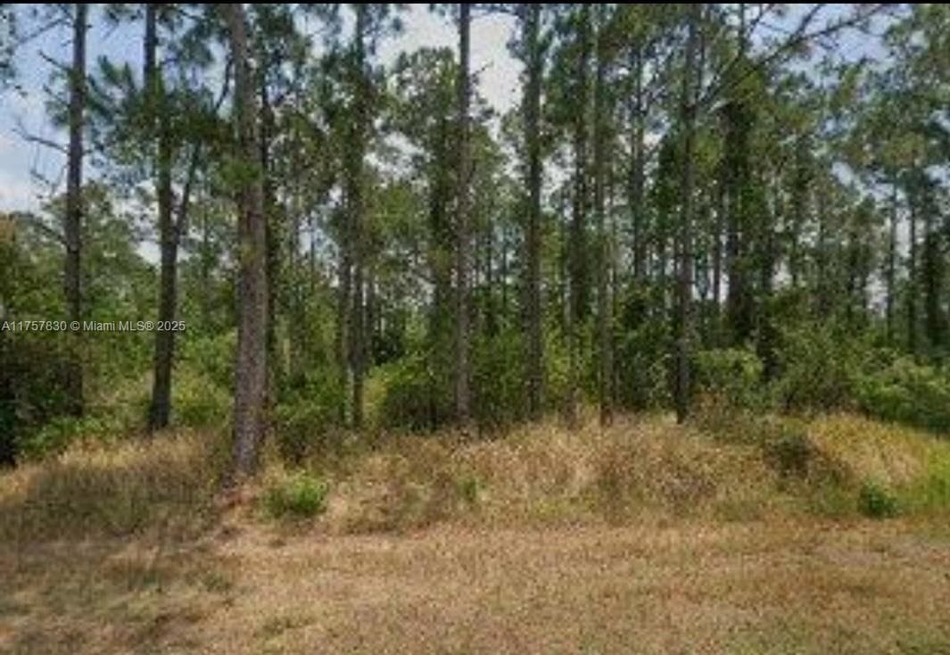 5112 Manati Ave., Sebring, FL 33872