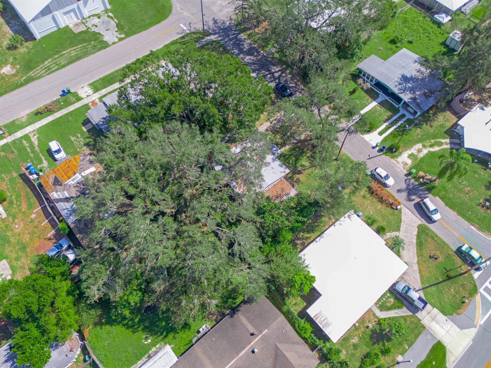657 Ave C SW, Winter Haven, FL 33880 photo 4