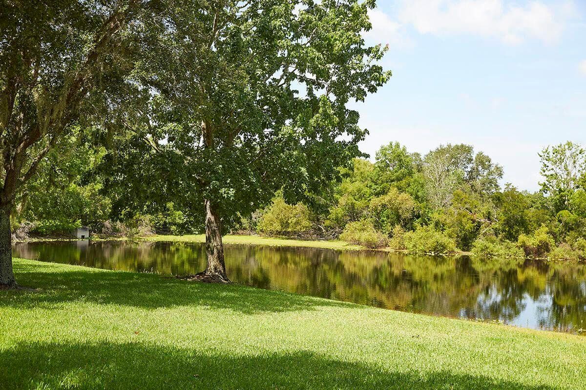 25701 SW Brians Trail, Okeechobee, FL 34974 photo 4