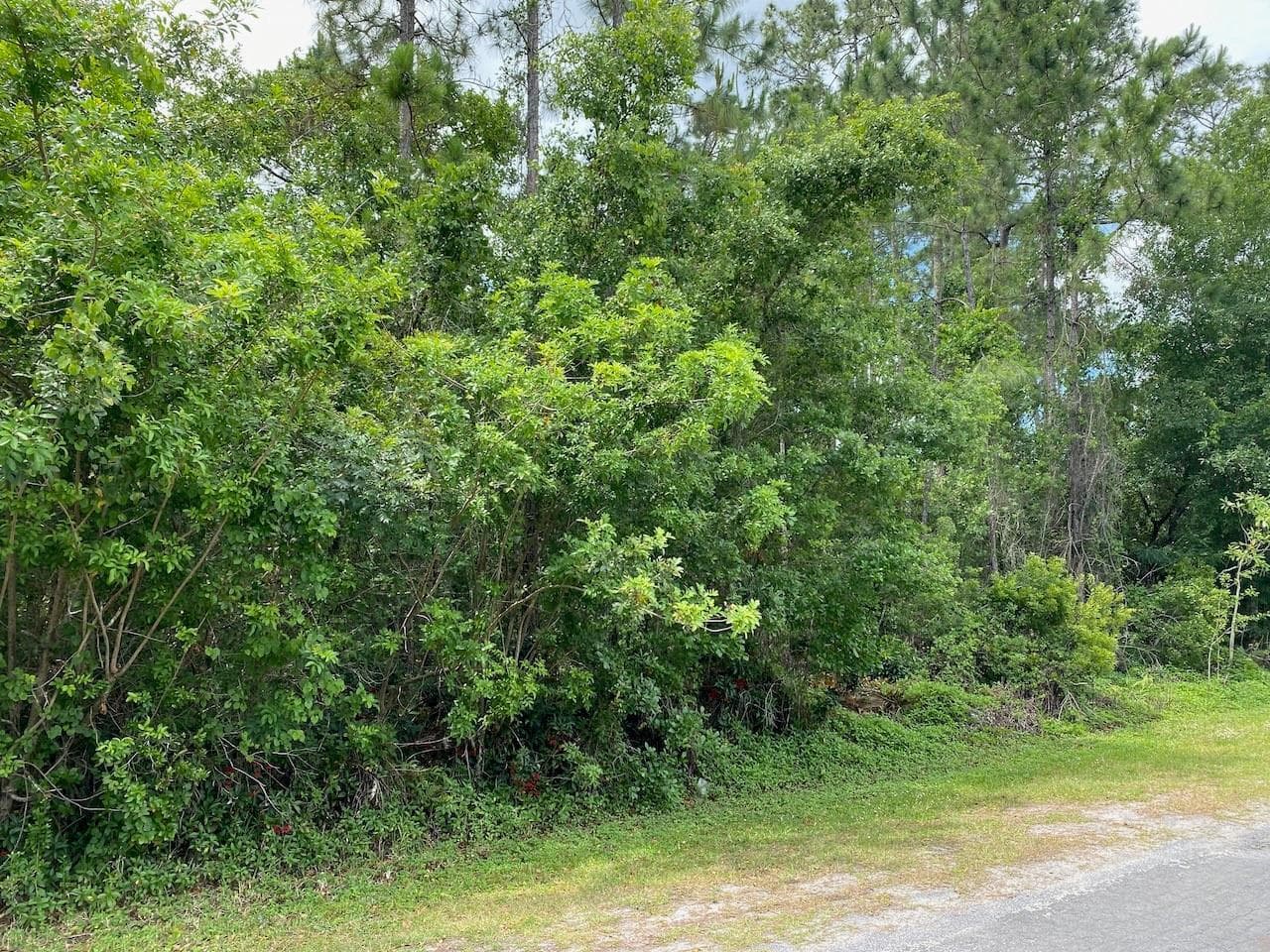 2351 Allamanda Drive, FL 33855 photo 2
