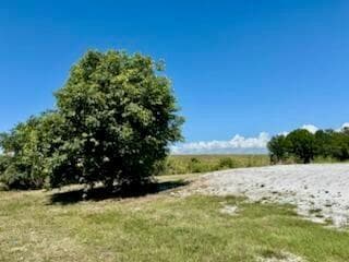 5646 Us Hwy 441, Okeechobee, FL 34974 photo 4