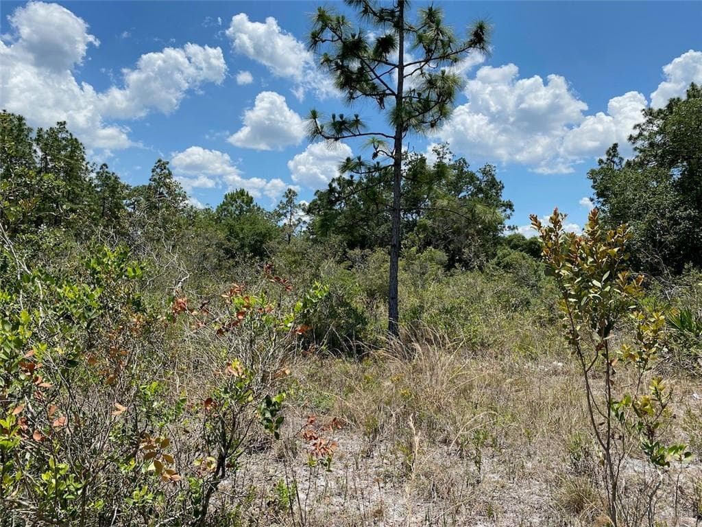 Lot 24 Indian Lake Drive, FL 33855 photo 2