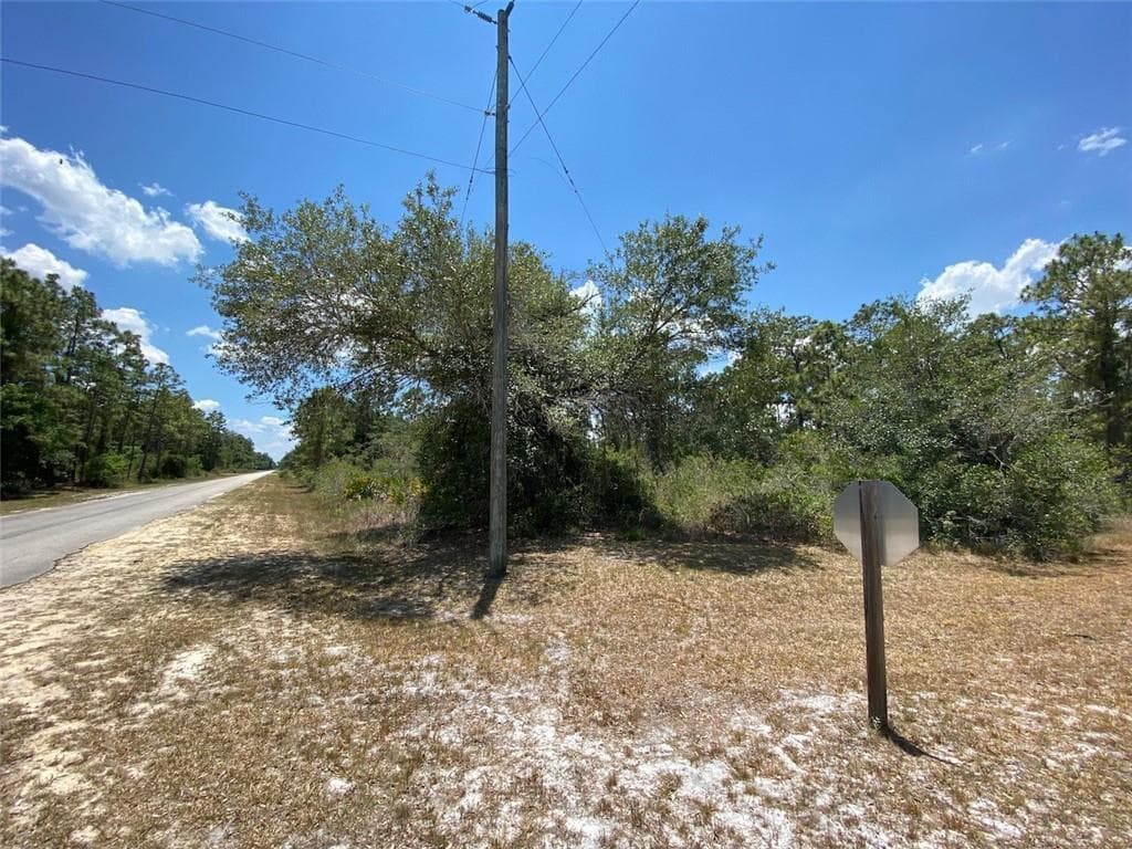 Lot 24 Indian Lake Drive, FL 33855 photo 3