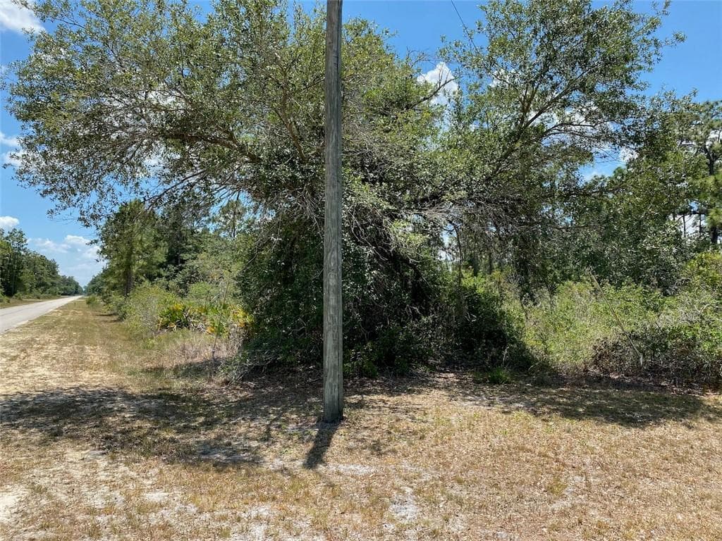 Lot 24 Indian Lake Drive, FL 33855 photo 4