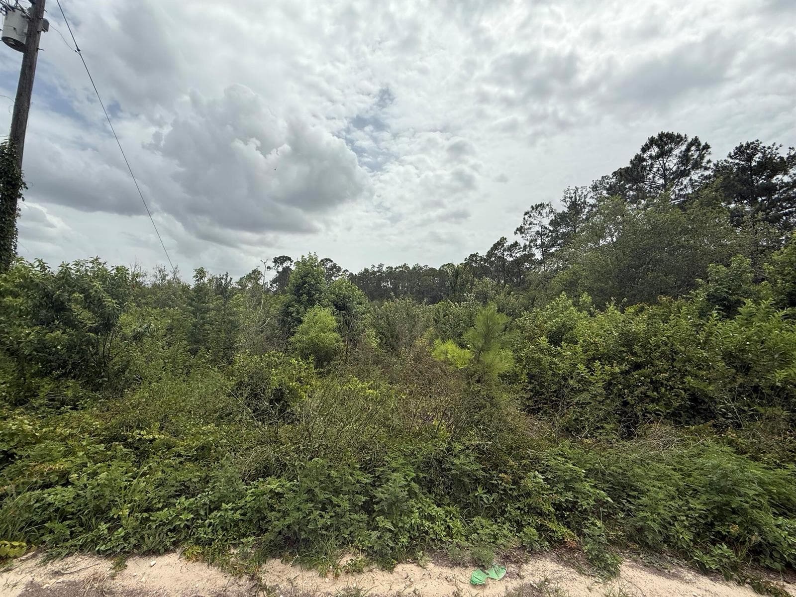 129 Fishermans Drive, FL 32148 photo 4
