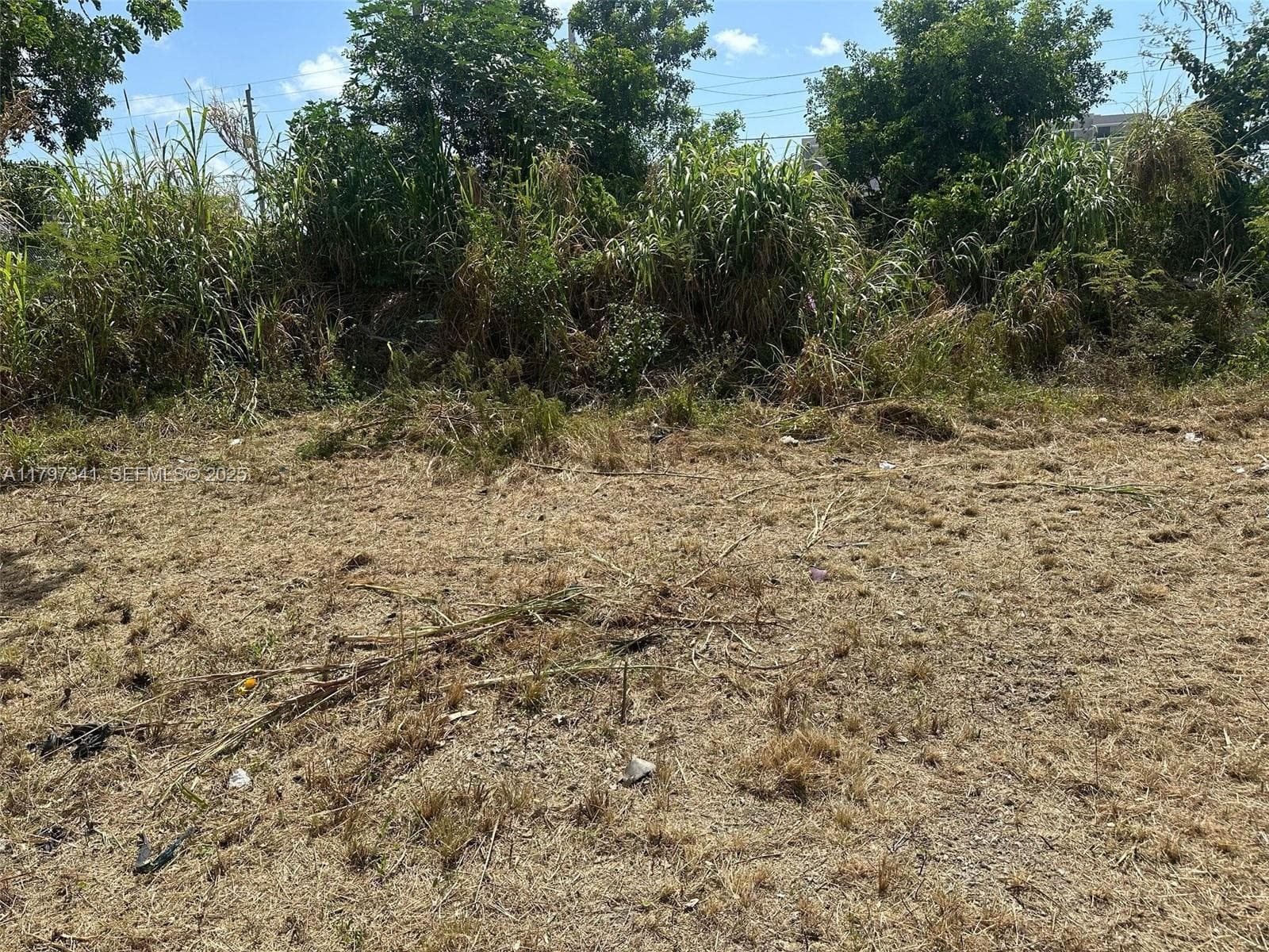 10025 W Indigo, Miami, FL 33157 photo 2