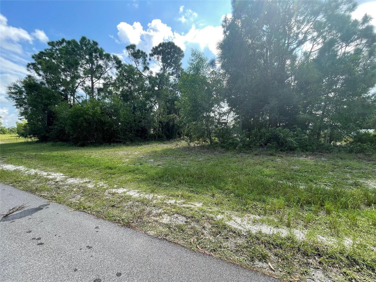 4513 NW 34th Place, Cape Coral, FL 33993 photo 4