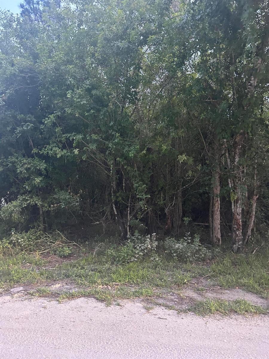 8995 22nd Street, Vero Beach, FL 32966 photo 4