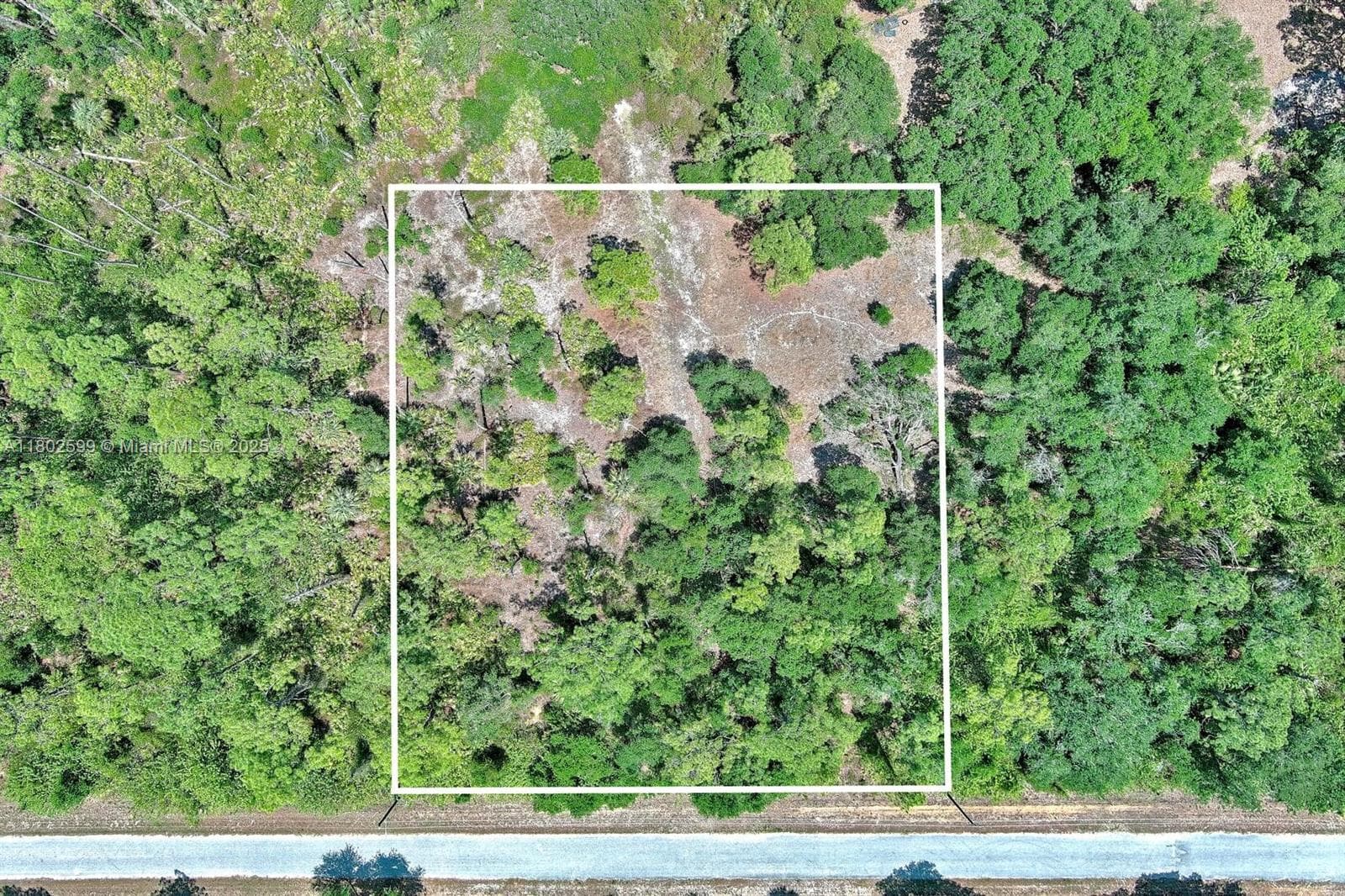 1908 MCARTHUR AVE, Lehigh Acres, FL 33972 photo 2