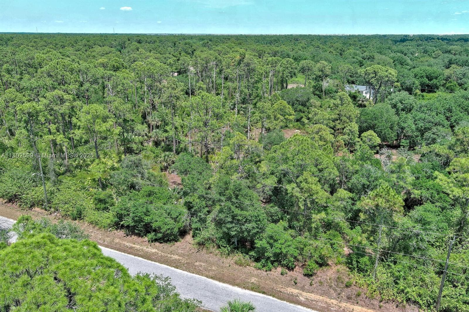 1908 MCARTHUR AVE, Lehigh Acres, FL 33972 photo 3