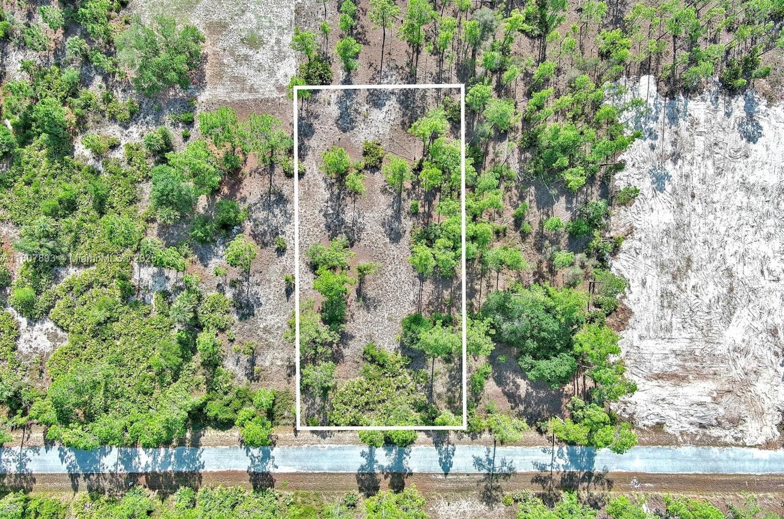 317 Fitch Ave, Lehigh Acres, FL 33936 photo 2
