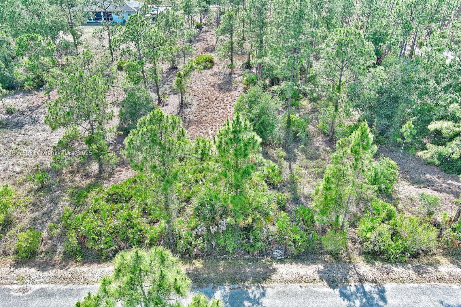 317 Fitch Ave, Lehigh Acres, FL 33936 photo 3