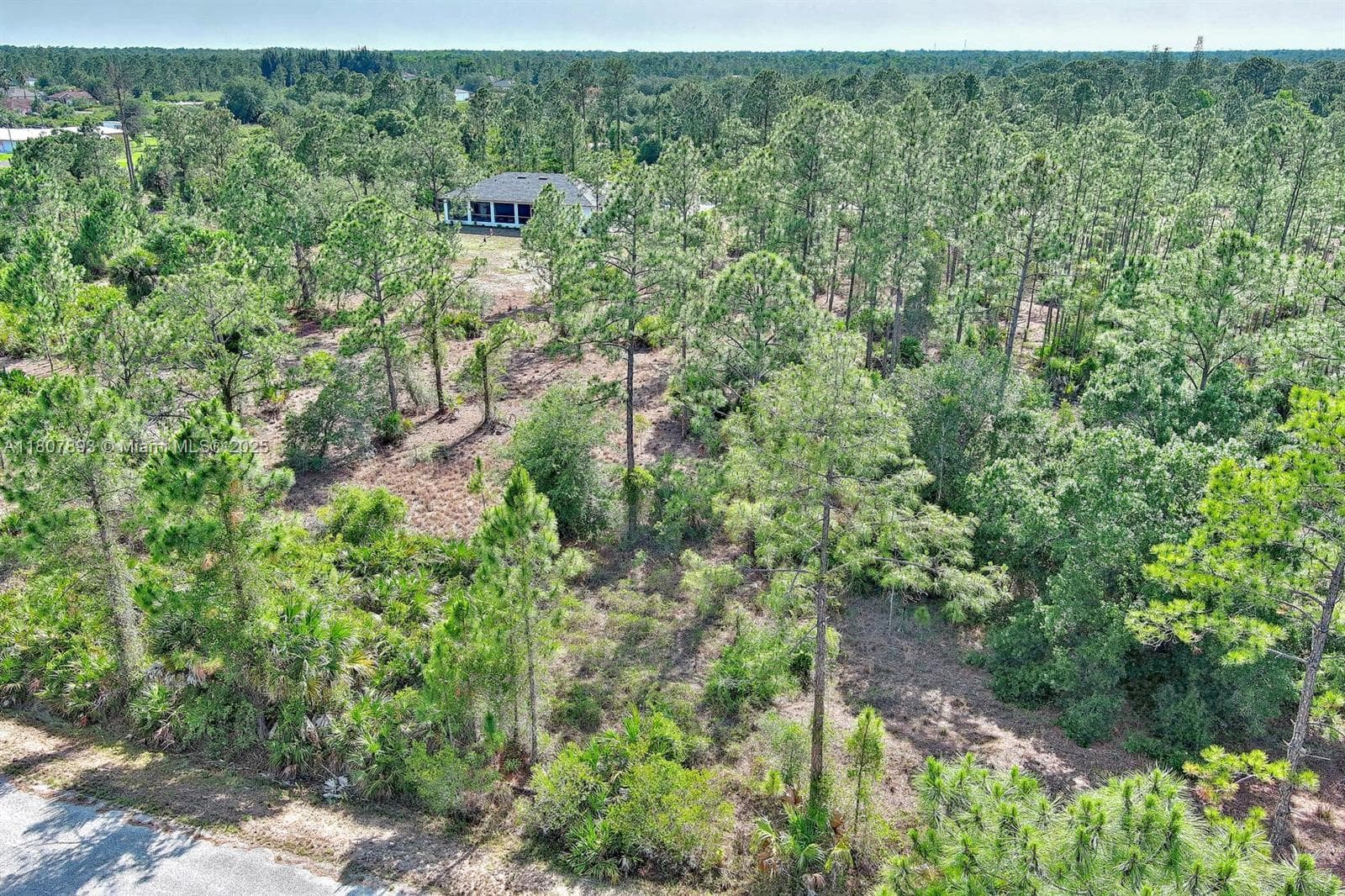 317 Fitch Ave, Lehigh Acres, FL 33936 photo 5