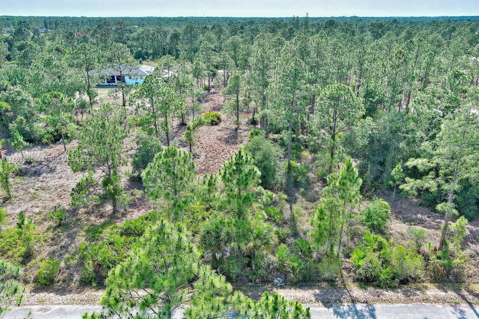 317 Fitch Ave, Lehigh Acres, FL 33936 photo 4