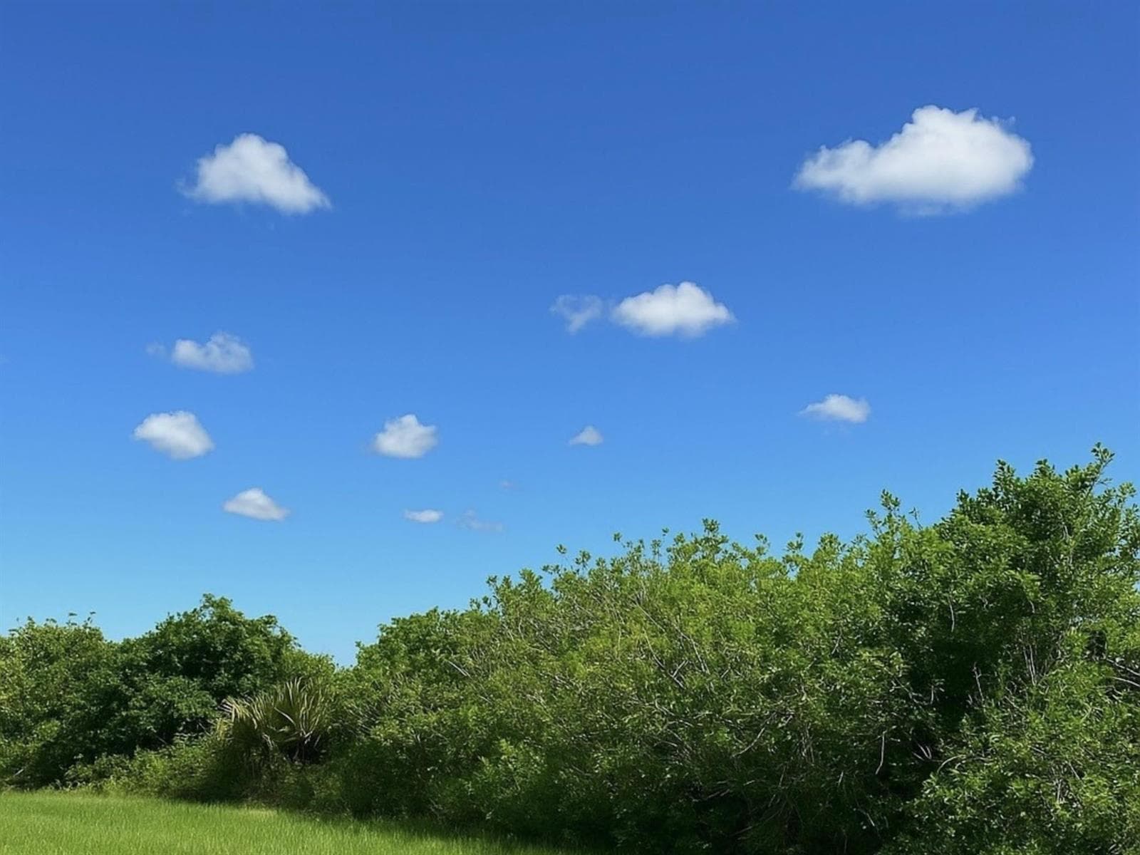 6617 SE 26th Trail, Okeechobee, FL 34974 photo 2