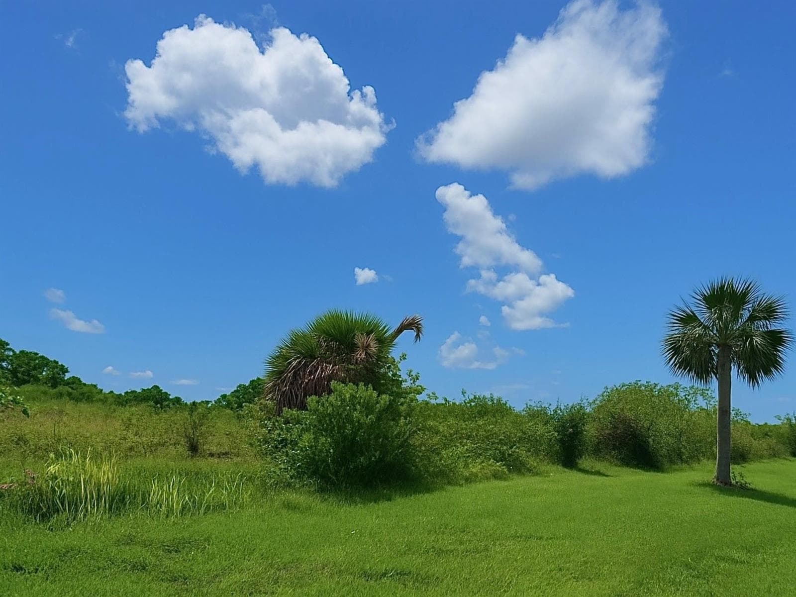 6617 SE 26th Trail, Okeechobee, FL 34974 photo 4