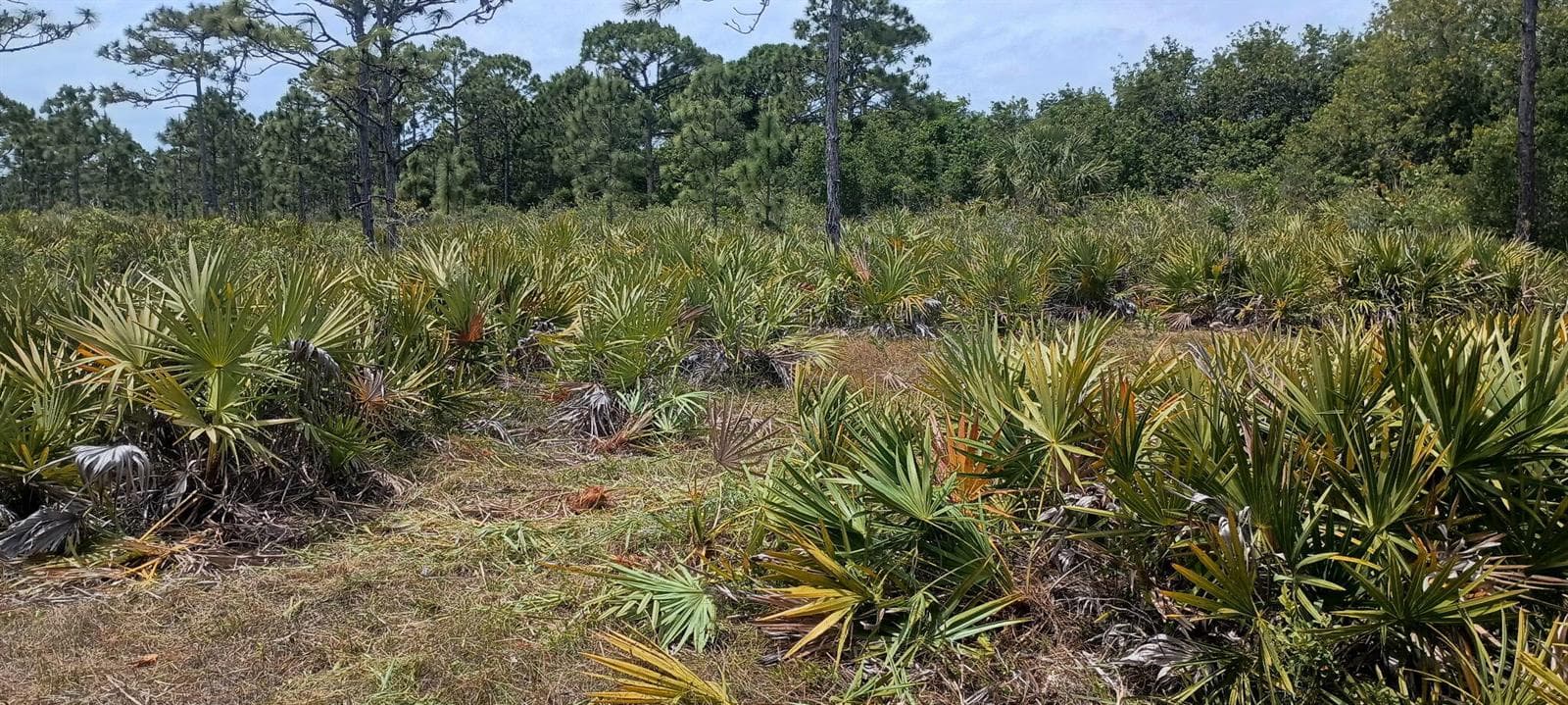 000 None, Grant Valkaria, FL 32950 photo 2