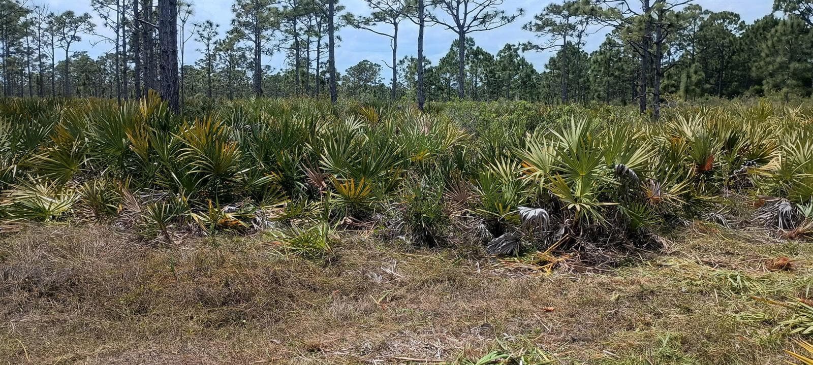 000 None, Grant Valkaria, FL 32950 photo 3