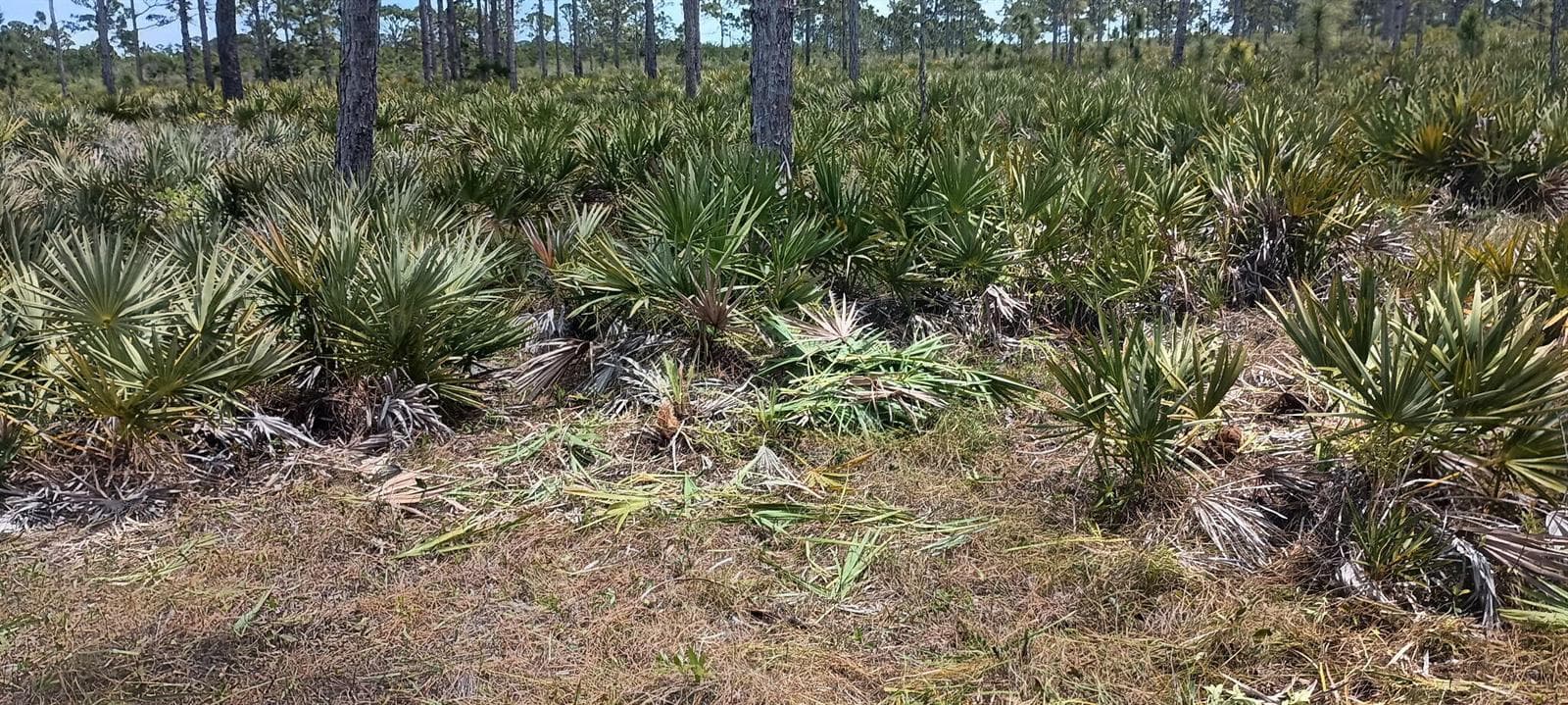 000 None, Grant Valkaria, FL 32950 photo 5